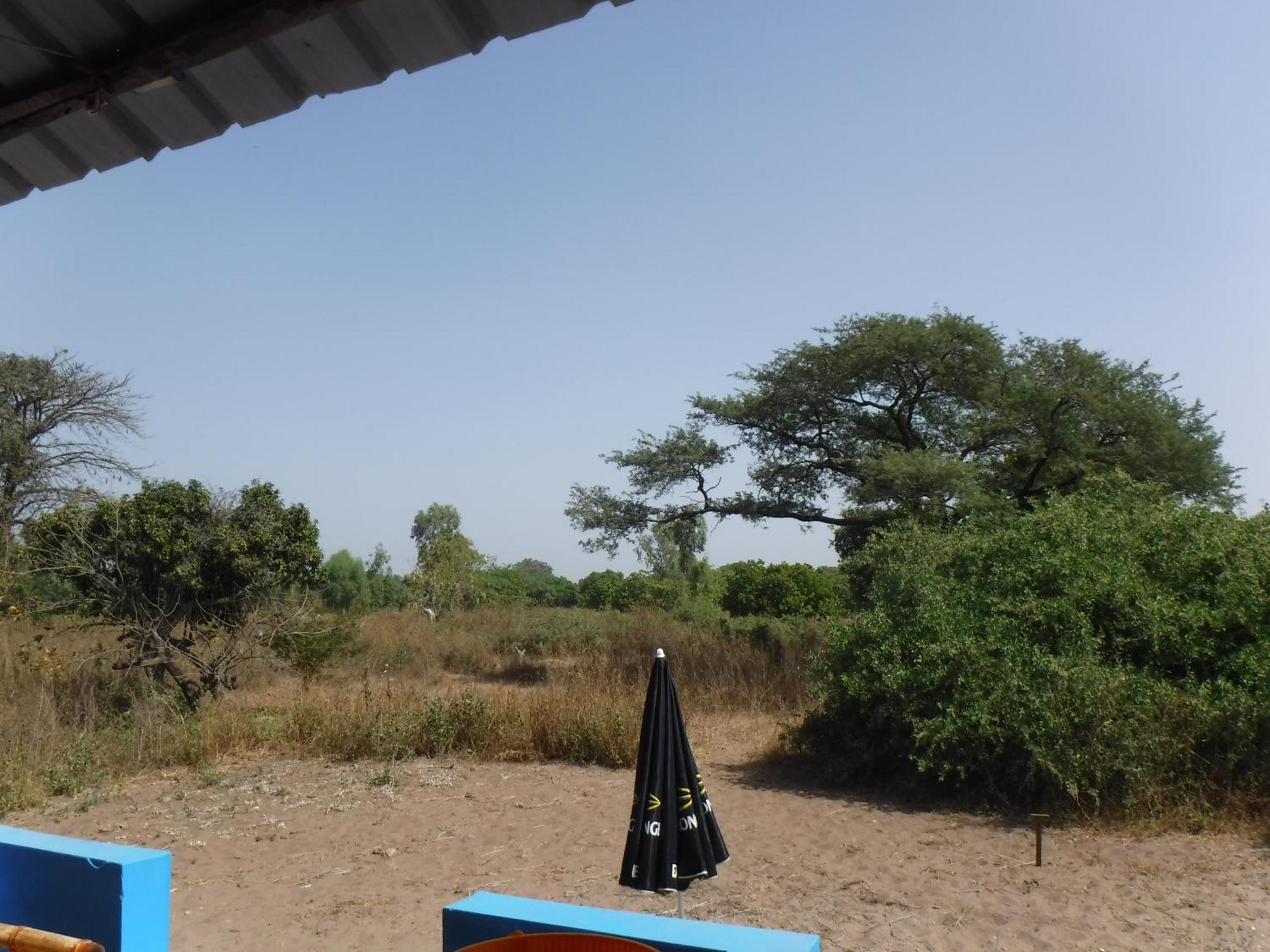 Jinack Lodge Jinack Island Esterno foto